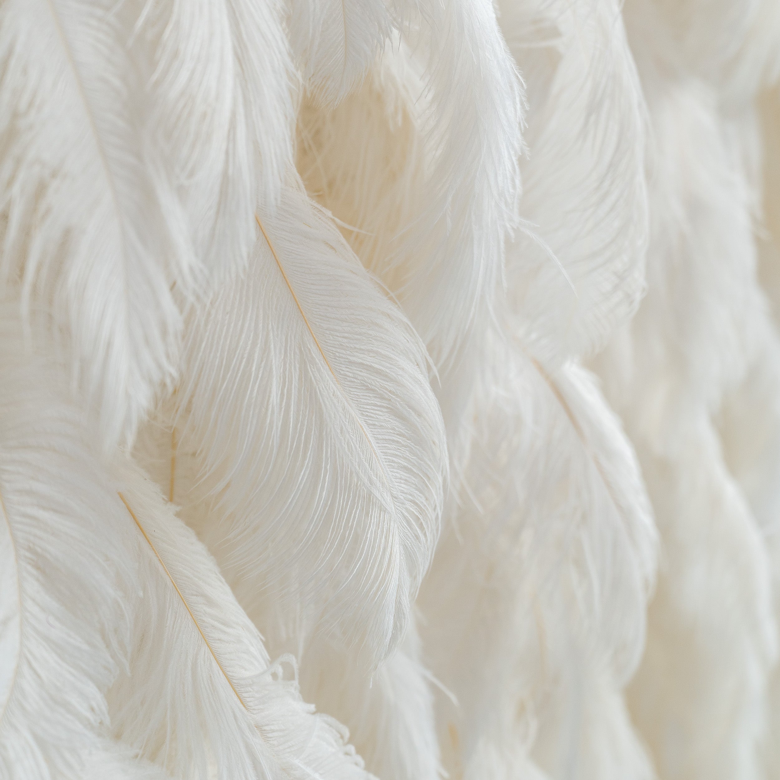 🔥[Hot sale]🔥 Artificial Floral Wall Backdrop: Celestial White Feather Dreamscape