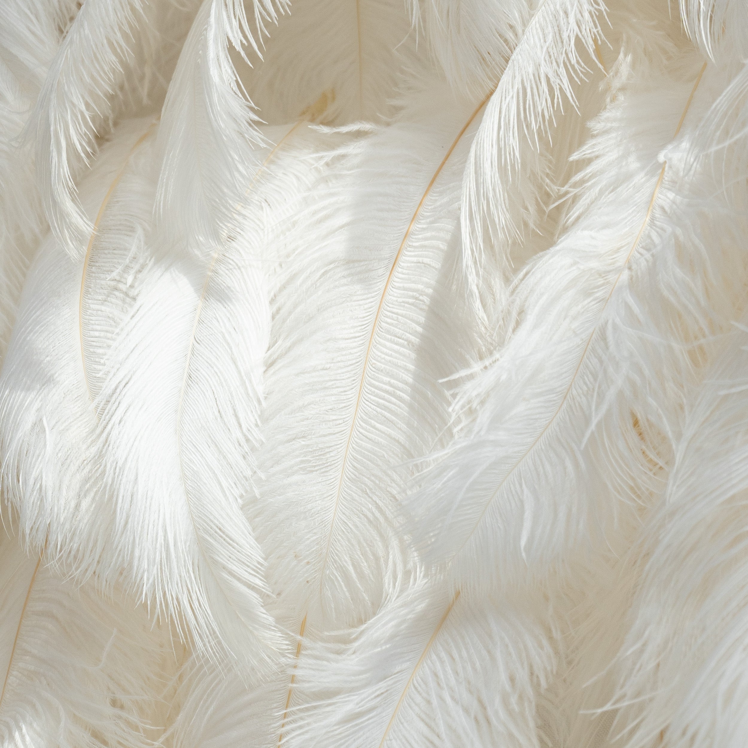 🔥[Hot sale]🔥 Artificial Floral Wall Backdrop: Celestial White Feather Dreamscape