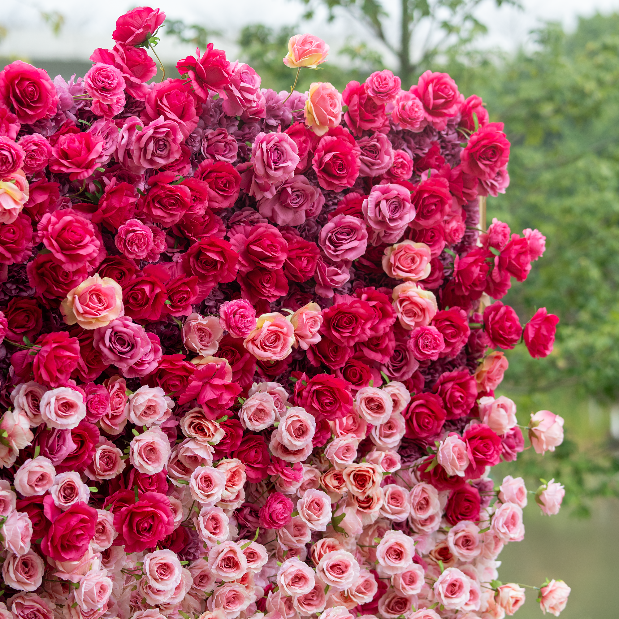 🔥[Hot sale]🔥 Roll Up Fabric Artificial Red to White Gradient Flower Wall Wedding Backdrop, Floral Party Decor, Event Photography