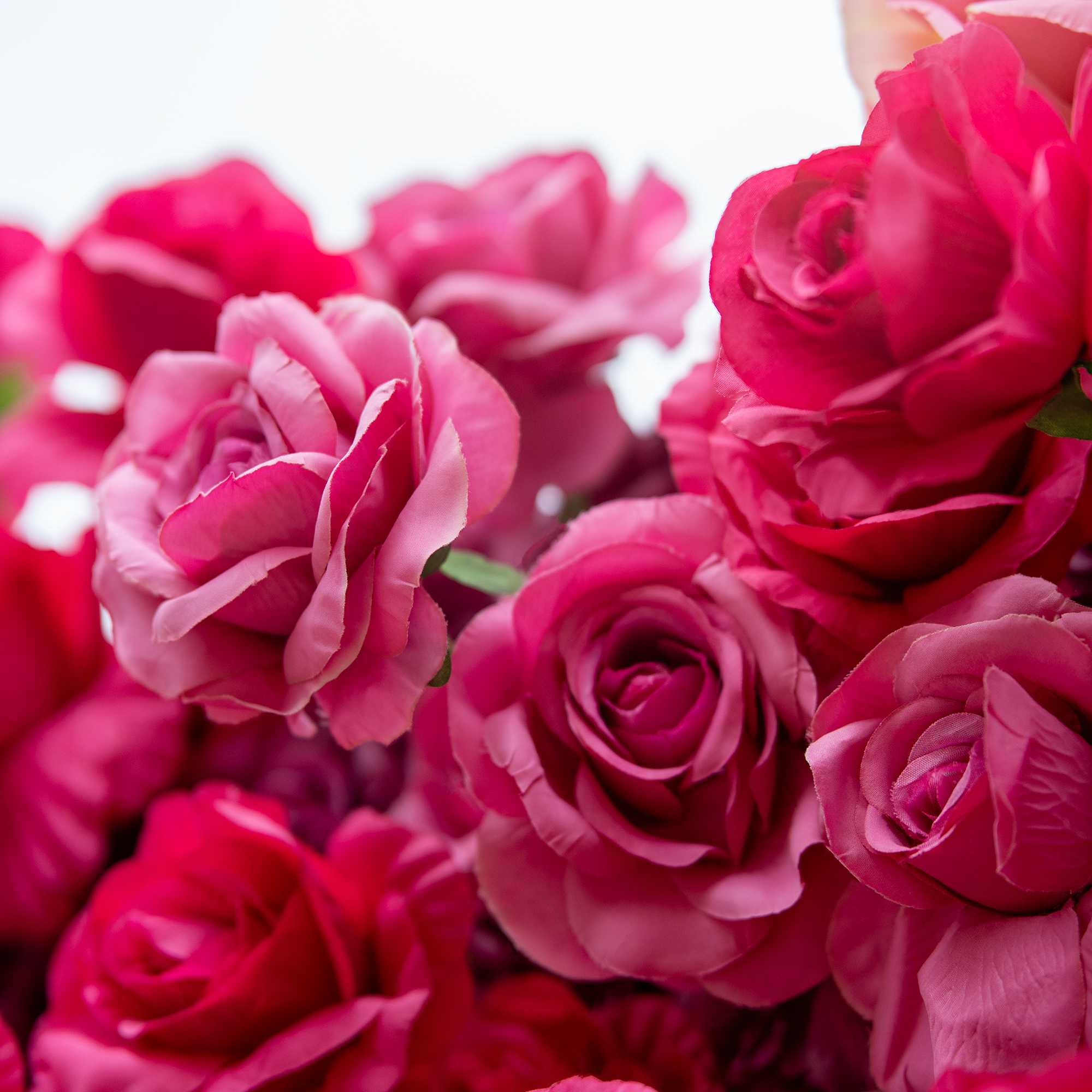 🔥[Hot sale]🔥 Roll Up Fabric Artificial Red to White Gradient Flower Wall Wedding Backdrop, Floral Party Decor, Event Photography