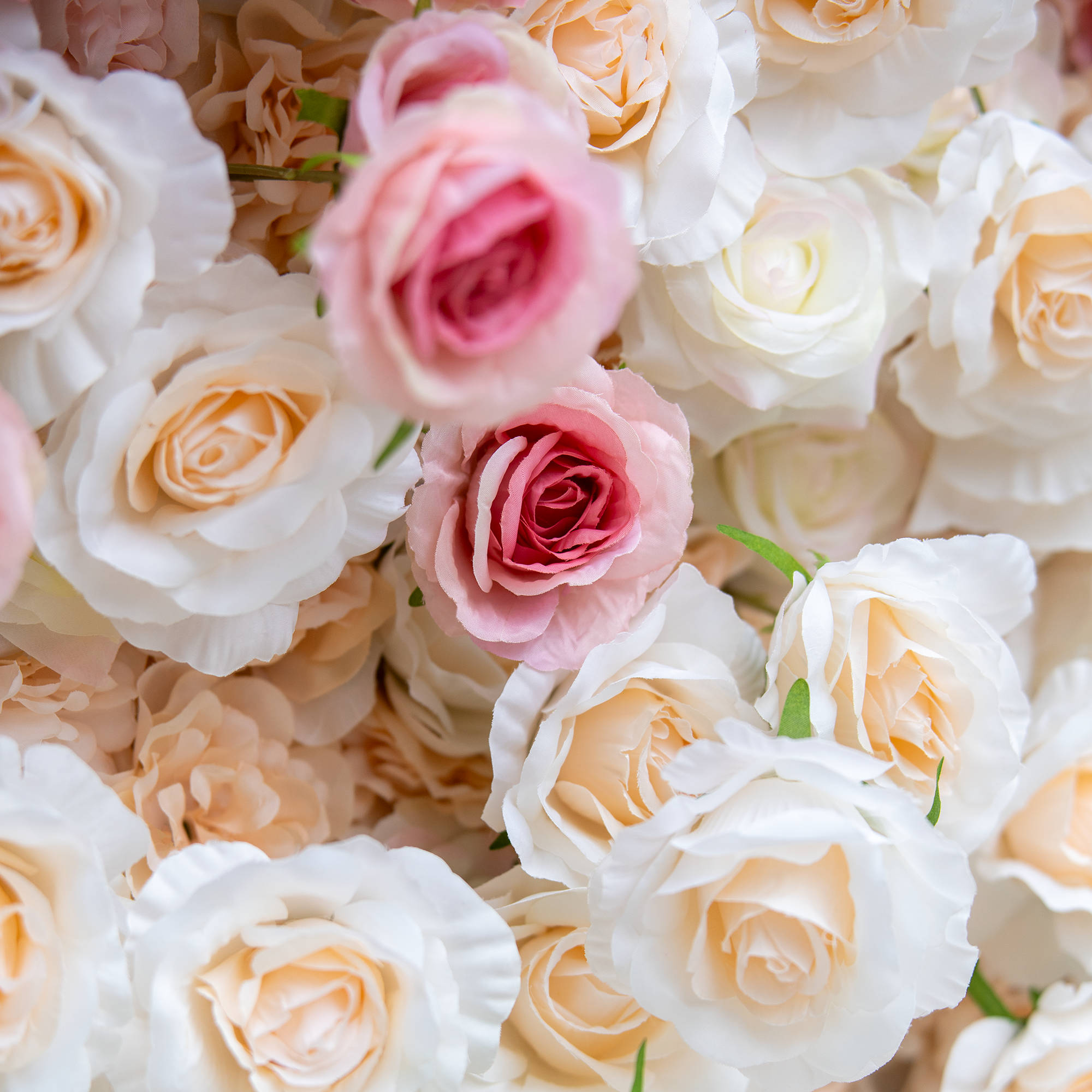 🔥[Hot sale]🔥 Roll Up Fabric Artificial Red to White Gradient Flower Wall Wedding Backdrop, Floral Party Decor, Event Photography