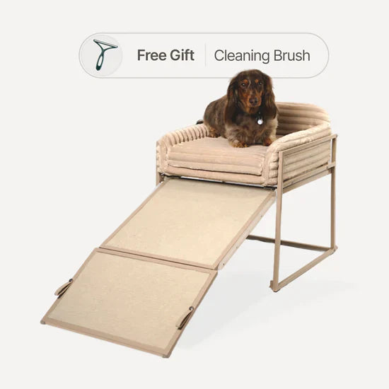 🛋️ “Comfort, Safety & Love — All in One Sofa Ramp!”(Limited Time Offer)